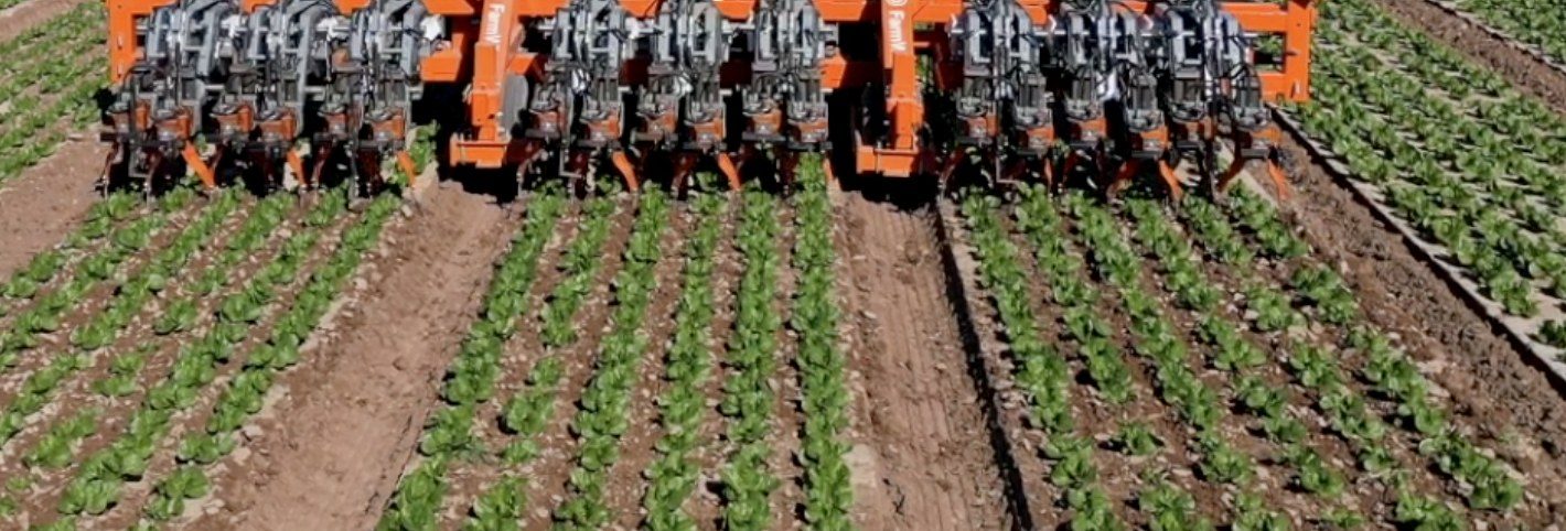 A FarmWise robotic implement working rows of lettuce
